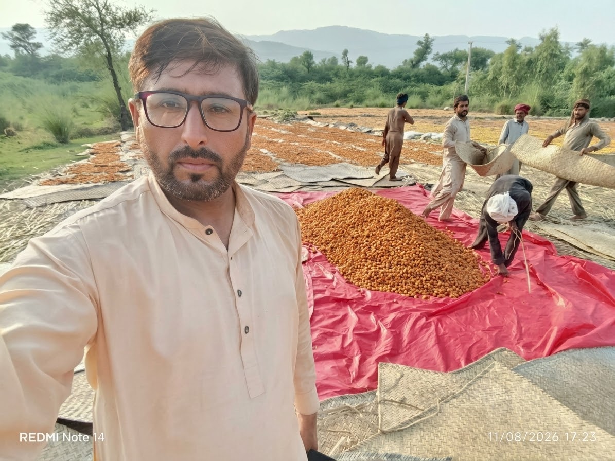 Large D.I. Khan dates with measuring ruler