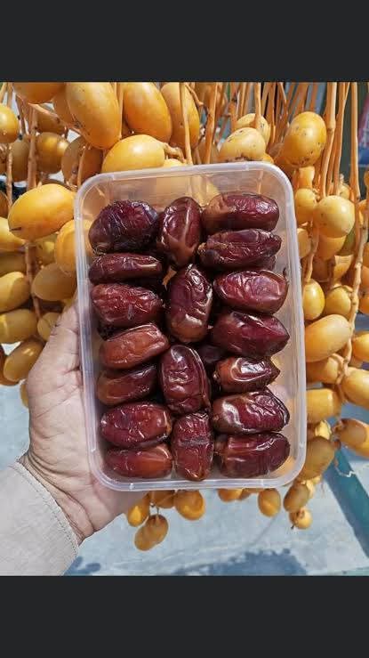 Premium Dhakki Dates